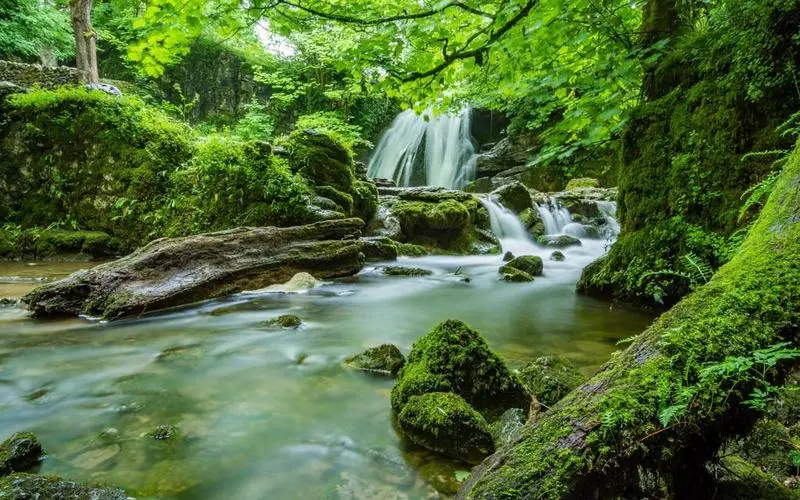 高端智能化智能化